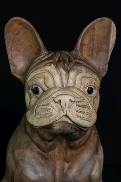 Product image 1 of the product “Seated French Bulldog made from suar wood, 50cm Height. ”